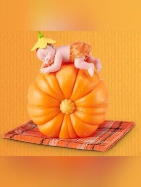 My Mini Baby Pumpkin Patch